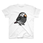 Cody the LovebirdのChubby Bird コイネズミヨウム スタンダードTシャツ