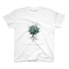 ➕ART PLANT の➕ART PLANT ユタエンシス スタンダードTシャツ