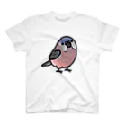 Cody the LovebirdのChubby Bird　アキクサインコ スタンダードTシャツ