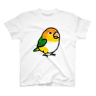 Cody the LovebirdのChubby Bird シロハラインコ スタンダードTシャツ