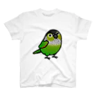 Cody the LovebirdのChubby Bird　ウロコインコ スタンダードTシャツ