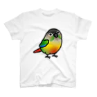 Cody the LovebirdのChubby Bird　ウロコインコ スタンダードTシャツ