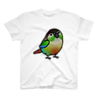 Cody the LovebirdのChubby Bird ウロコインコ スタンダードTシャツ