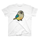 Cody the LovebirdのChubby Bird ウロコインコ スタンダードTシャツ