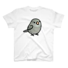 Cody the LovebirdのChubby Bird マメルリハ Regular Fit T-Shirt