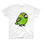 Cody the LovebirdのChubby Bird　キエリボウシインコ スタンダードTシャツ