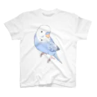 まめるりはことりのおしゃま美人セキセイインコちゃん【まめるりはことり】 スタンダードTシャツ