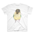 まめるりはことりの可愛いウロコメキシコインコちゃん【まめるりはことり】 スタンダードTシャツ