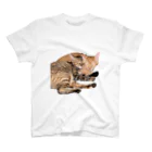 ChoboTora24の眠り猫ちゃん達 スタンダードTシャツ