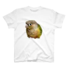 クレーンゲームのホオミドリアカオウロコインコ パインちゃん Regular Fit T-Shirt