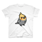 Cody the LovebirdのChubby Bird ちょっと生意気なオカメインコ スタンダードTシャツ