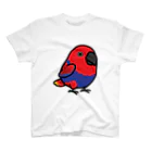 Cody the LovebirdのChubby Bird オオハナインコ スタンダードTシャツ