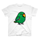 Cody the LovebirdのChubby Bird オオハナインコ スタンダードTシャツ