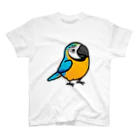 Cody the LovebirdのChubby Bird ルリコンゴウインコ スタンダードTシャツ