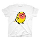 Cody the LovebirdのChubby Bird コザクラインコ スタンダードTシャツ