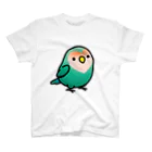 Cody the LovebirdのChubby Bird コザクラインコ スタンダードTシャツ