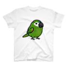 Cody the LovebirdのChubby Bird　コミドリコンゴウインコ スタンダードTシャツ