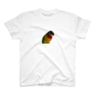 sambarumba-lovebirdのlove bird samba スタンダードTシャツ