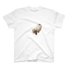 my pet shopの真ん中に寄れないうさぎ Regular Fit T-Shirt