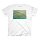 coyote brandのcoyote brand Drone shot T-shirts スタンダードTシャツ