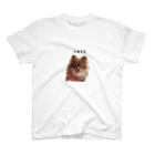 3（4？）わんのたぬき犬 スタンダードTシャツ