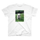 宍村の実家の犬２ スタンダードTシャツ