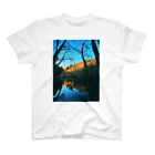 SwellのColor of the Forest スタンダードTシャツ