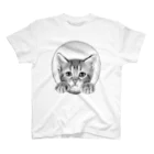 猫の楽園のイタズラ子猫　 スタンダードTシャツ