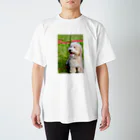 ルナのAustralian　Labradoodle@RUNA スタンダードTシャツ