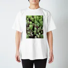 piroskaの野生の多肉植物 スタンダードTシャツ