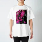 sumidagawaの薔薇の壁 スタンダードTシャツ