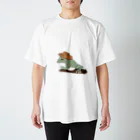 あずけろ🐸のどこか雰囲気あるイエアメちゃん スタンダードTシャツ