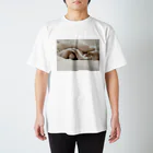 けだま屋の見つめるむぎちゃん Regular Fit T-Shirt