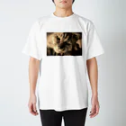 kurodoteのあまえんぼうの猫のチー スタンダードTシャツ