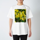 akane_art（茜音工房）の癒しの風景（オウバイ） Regular Fit T-Shirt