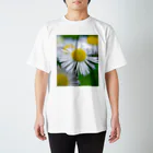 望美【写真】のヒメジョオン Regular Fit T-Shirt