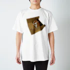 帽子や多帽の箱ねこボーちゃん Regular Fit T-Shirt