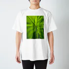 misaki motofujiの脈 Regular Fit T-Shirt
