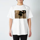 カエルのみんなこち見て Regular Fit T-Shirt