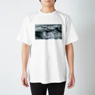 👀キョロの👀T：涼しいphotoT スタンダードTシャツ