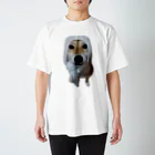 川村さん家の柴犬コロちゃんの湘南のころちゃん スタンダードTシャツ