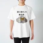 コーギー好きすぎてAAの遂に来ました換毛期 スタンダードTシャツ