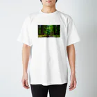 ずっと風景BGMの参道1 スタンダードTシャツ