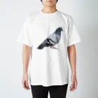 ねこの写真館の常盤の鳩先輩 スタンダードTシャツ