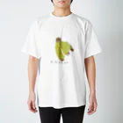 MAXIM290のBANANA Regular Fit T-Shirt