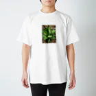 シアン猫の植物図鑑のアガベ ホリダ(加工Ｖｅｒ．) スタンダードTシャツ