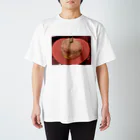 えびうまうまのケーキのお墓Tシャツ Regular Fit T-Shirt