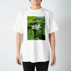 櫻井レンコンのレンコンの花 スタンダードTシャツ