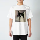 夏休みの猫ちゃん スタンダードTシャツ