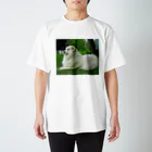 【CPPAS】Custom Pet Portrait Art Studioの優雅なグレートピレニーズドッグ Regular Fit T-Shirt